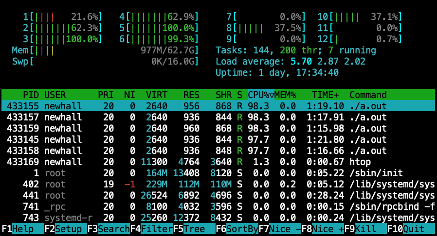 Example output form htop showing the current cpu usage of the 12 cores, of memory, and information about the top cpu-using processes.