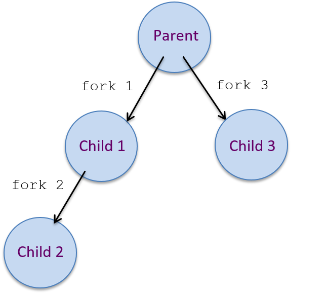 a process heirarchy of 4 processes, the parent creates child 1 with the fork 1 fork call, the child creates its child, child 2 with the fork 2 call, and the parent creates its second child, child 3 with the fork 3 call
