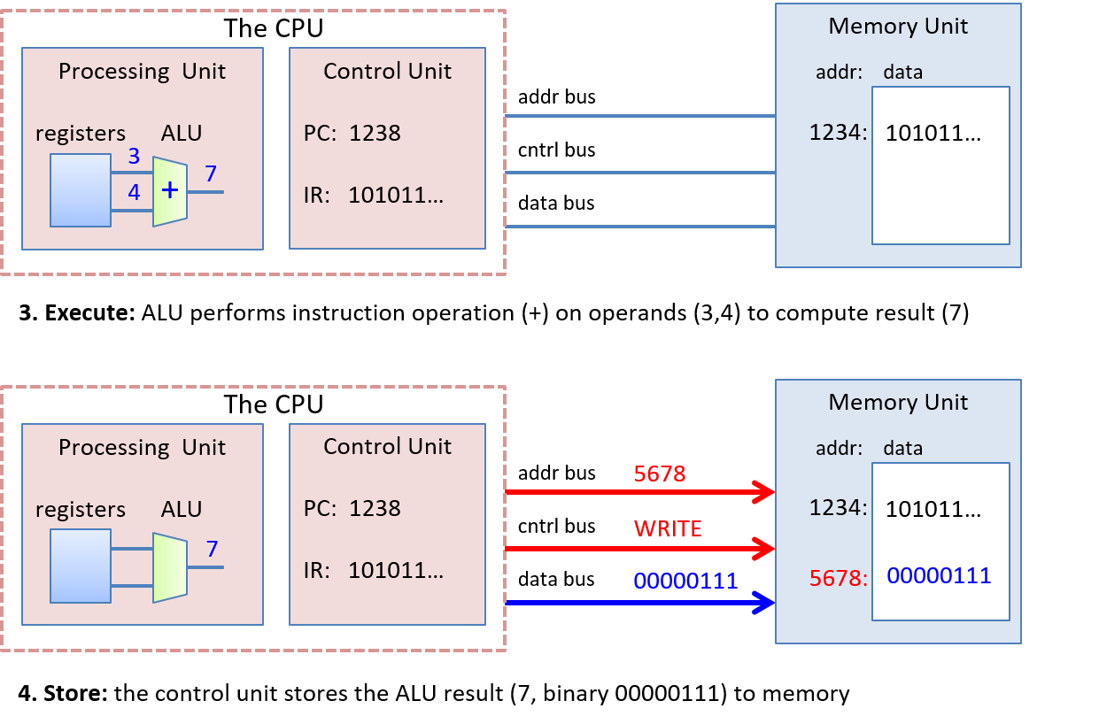 This figure of von Neumann execution shows the processing, control and memory units in each of the four stages of execution. Each unit is shown as a box, with buses shown as lines running below the boxes to which each box is connected.