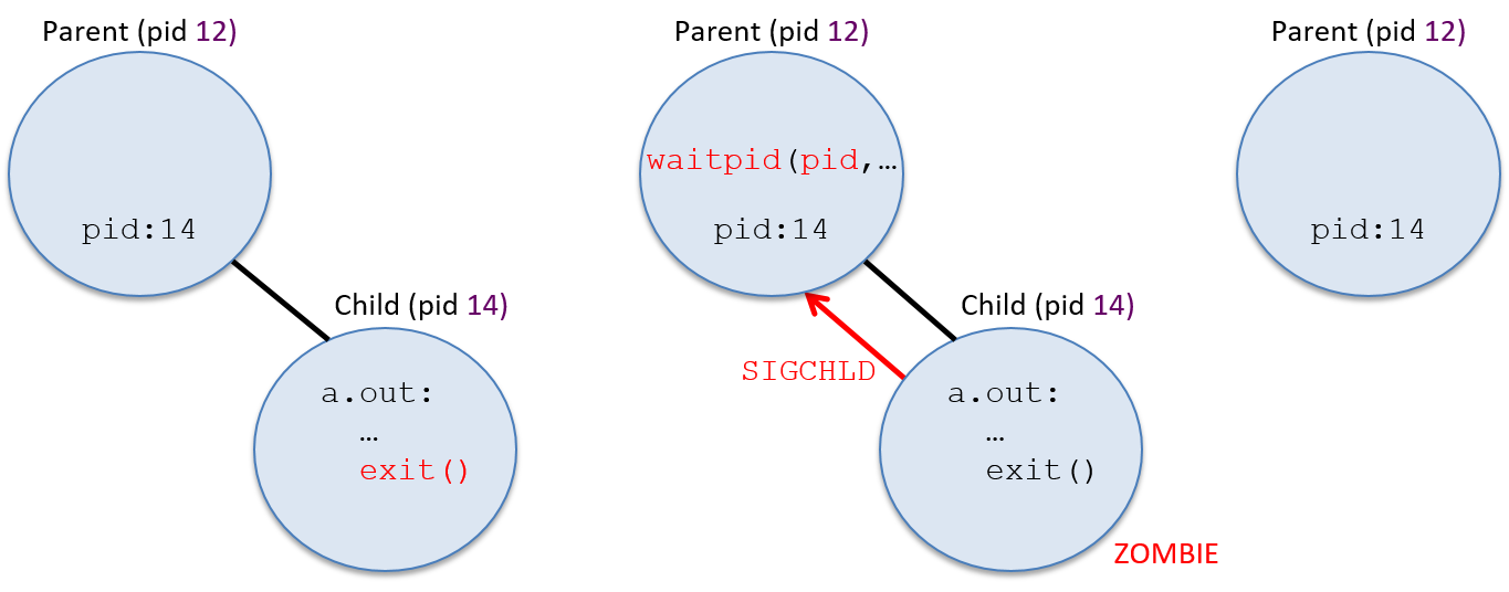child exits