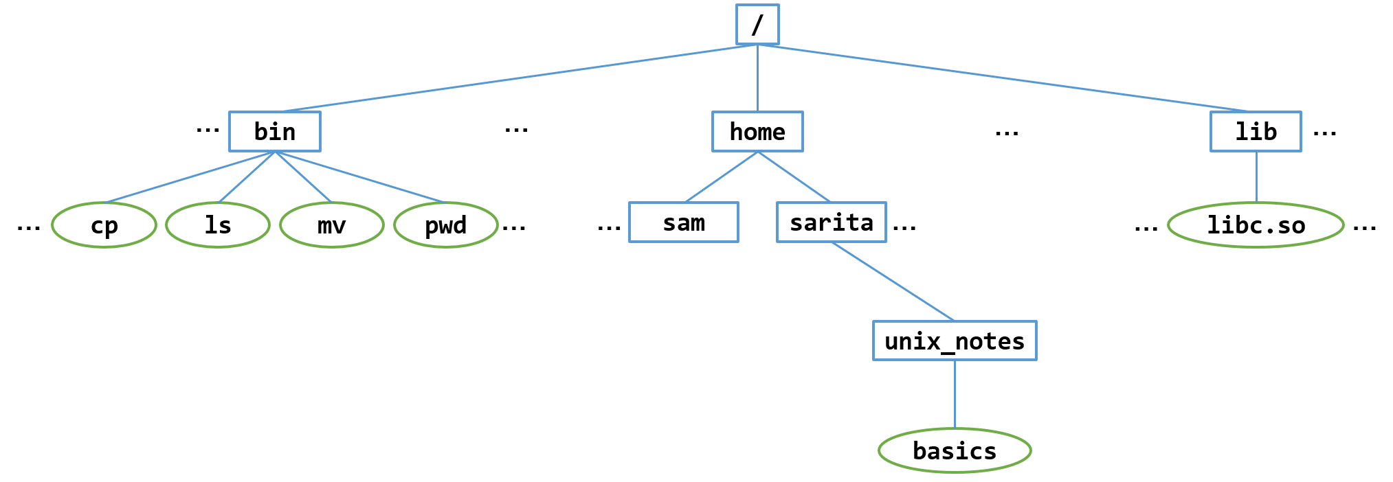 The unix file system with root directory at top, with example child directories bin, home, lib, and two example subdirectories under home sam and sarita.